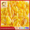 Hot Sale Good Quality Raisins From China